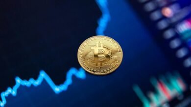 axis blue fund details
