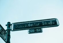 apex pulse growth lane