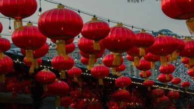 market pulse insights revealed