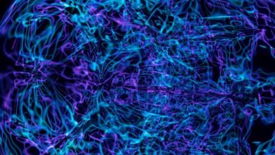 neural pulse apex beam