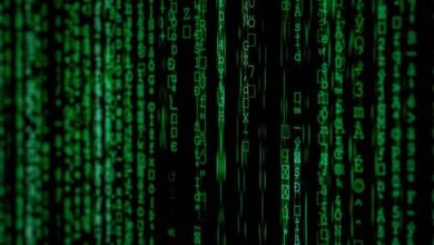 stellar cyber matrix flow